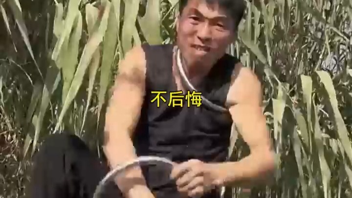 开云下载-甘肃队在客场惜败，球队士气跌入谷底的简单介绍