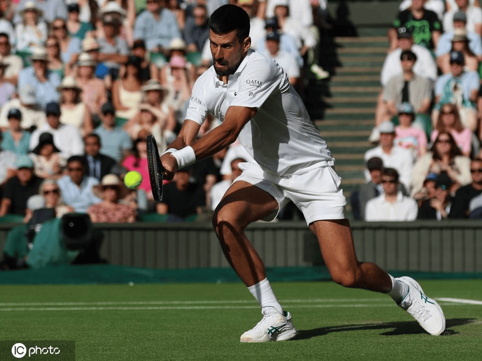 ATP总决赛横扫温网，德约科维奇惊艳四座