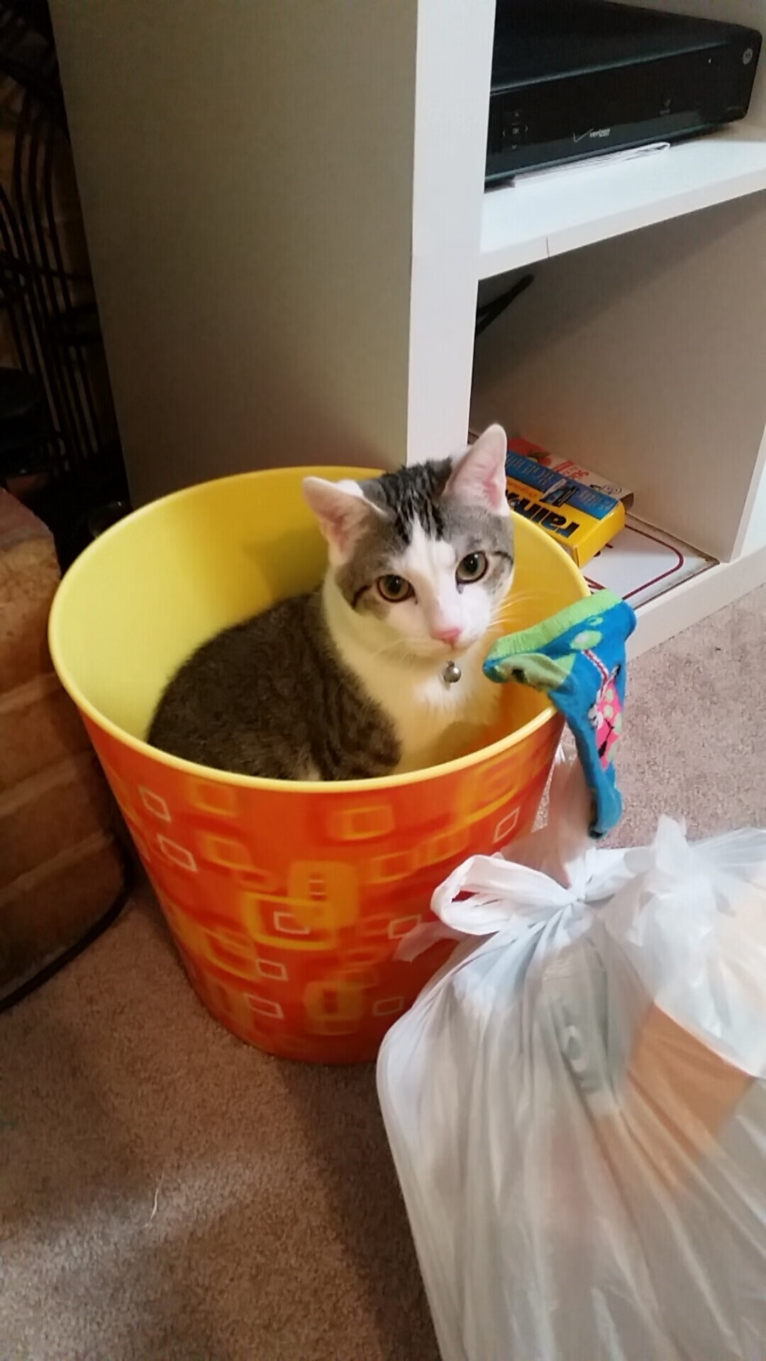 骑士横扫山西队，恩比德舞台越大越强—篮球世界中的荣耀与蜕变