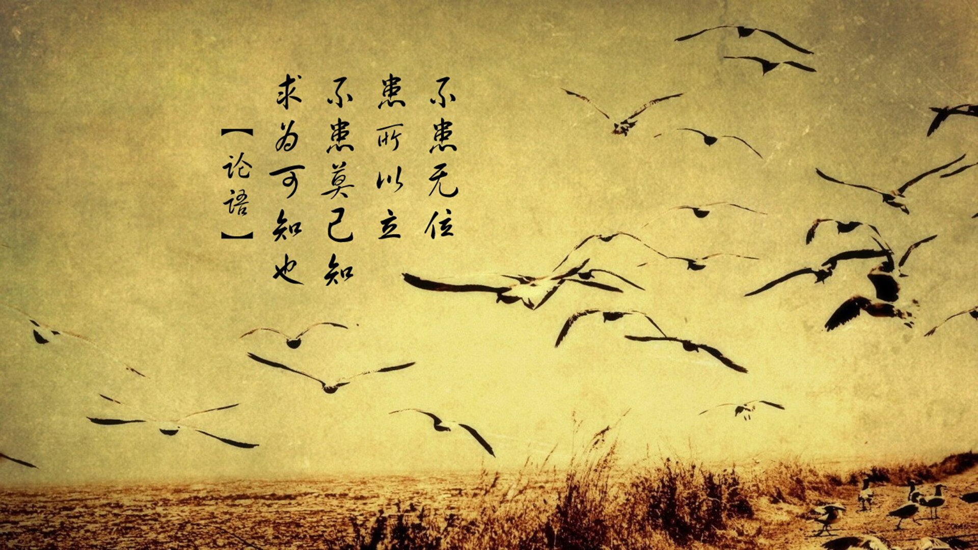 萨拉赫无解破局，玻利维亚爆冷征服哥伦比亚，足球世界的双重奏鸣