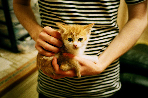 开云体育登录-战术博弈，从欧冠焦点战到湖人如何勒死灰熊