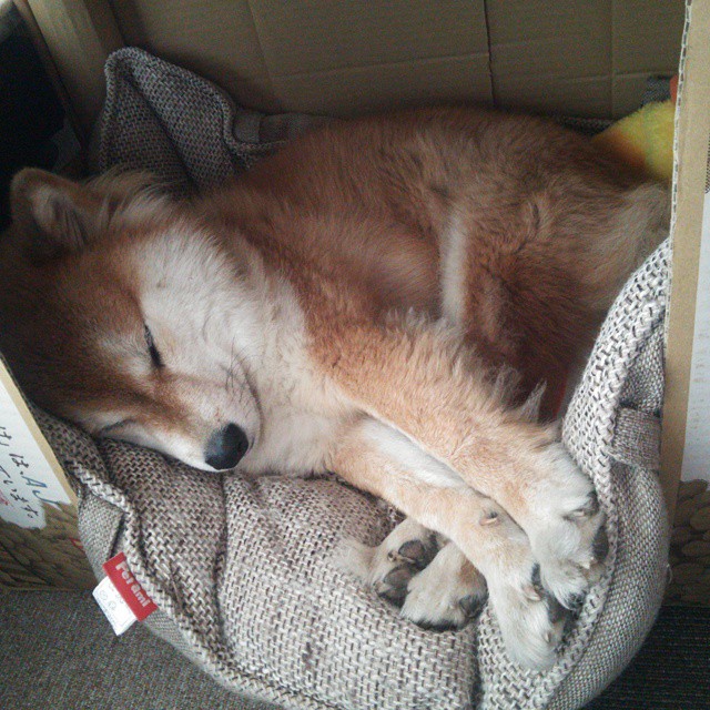 开云体育中国-东决孤星，德罗赞血战之夜，中距离死神降临