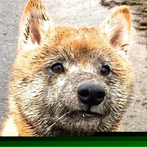 利拉德终成关键先生,湖人客场力克魔术