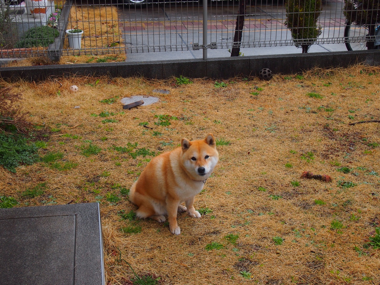 开云体育APP下载-英超争冠焦点战，韩国力量强行终结苏格兰梦想