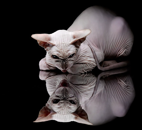 京多安接管比赛,摩洛哥爆冷击败日本—美加墨世界杯纪实