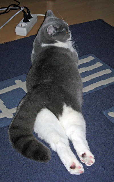 开云体育中国-凯塞多一战封神，当钻石切割红宝石，药厂奏响意式狂想曲