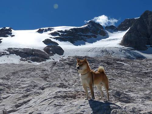 骑士激战吉林队,字母哥狂砍42+18主宰全场,最佳球员无争议