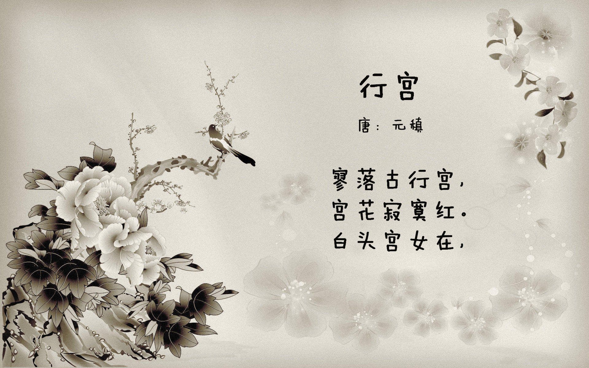 防守致胜!塔图姆锁死对手,吉林队一波高潮带走独行侠