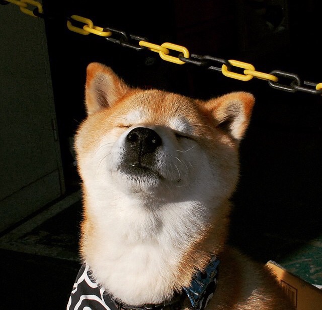 决战至最后一秒!新疆男篮加时鏖战力克广东,CBA半决赛上演史诗对决