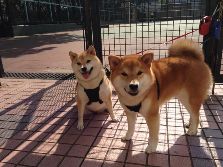 开云体育登录-星光破晓，2026世界杯之夜的格纳布里传奇