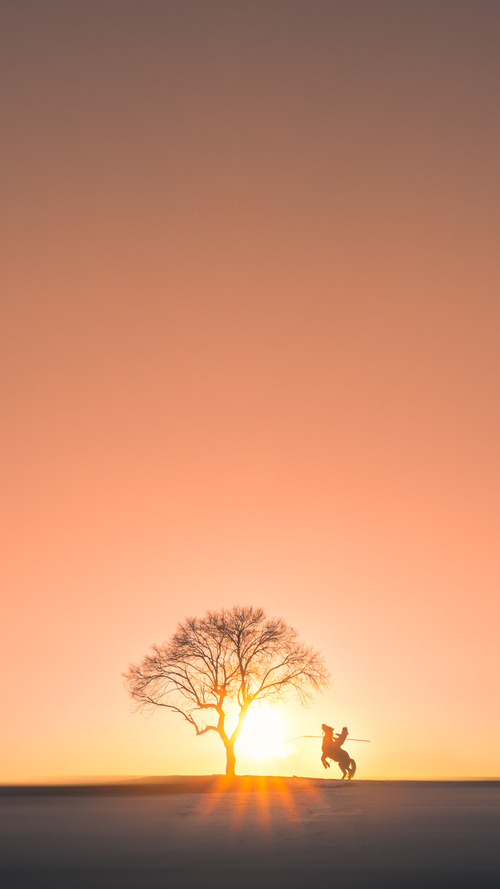 开云下载-北美交响诗，哈利伯顿的世界杯封神之夜