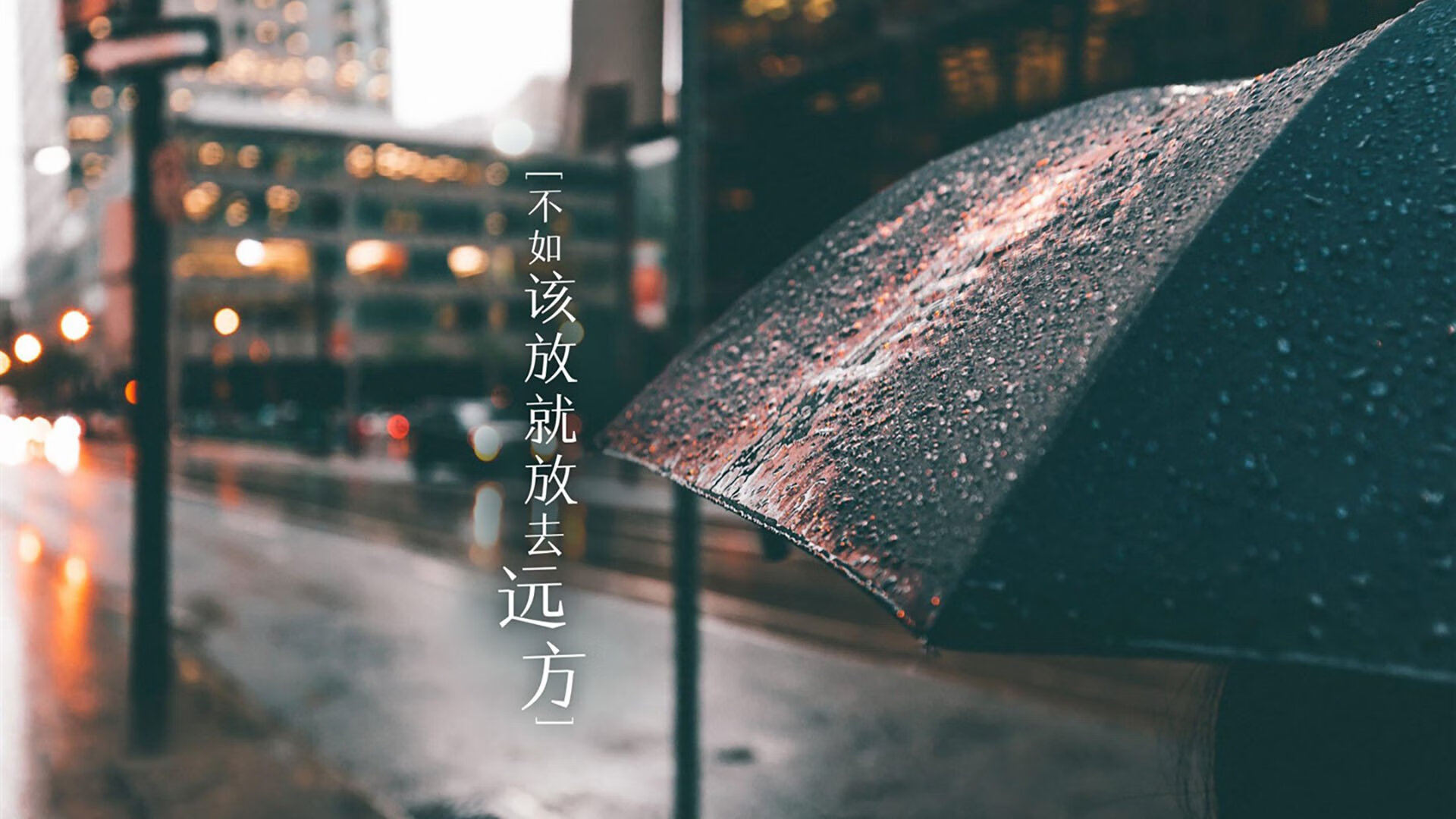 开云体育中国-北极光闪耀卢赛尔，芬兰横扫伊朗，坎塞洛惊艳2026世界杯决赛