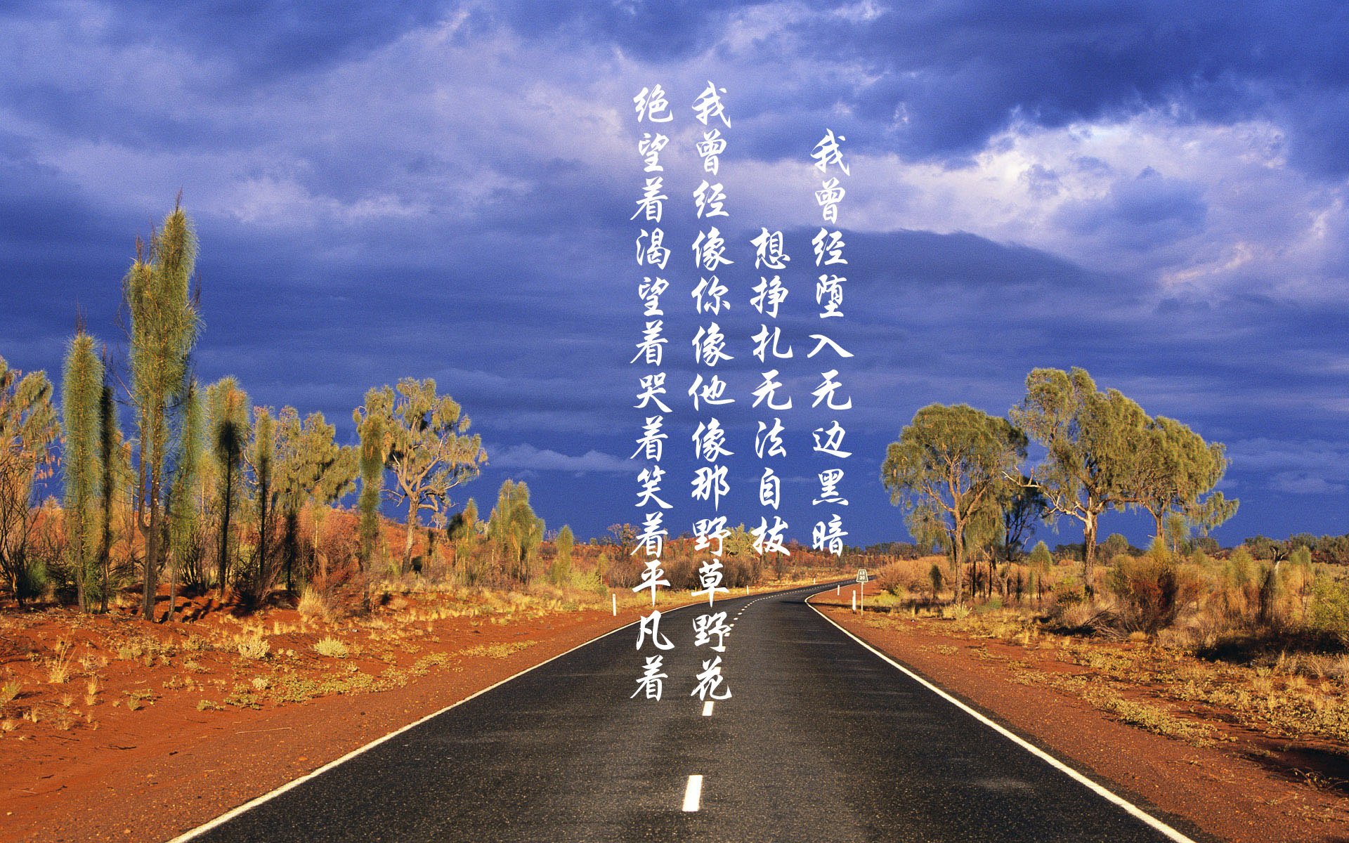 沙漠之狐啸傲绿茵，突尼斯爆冷掀翻日本，罗德里戈星光闪耀出线生死战